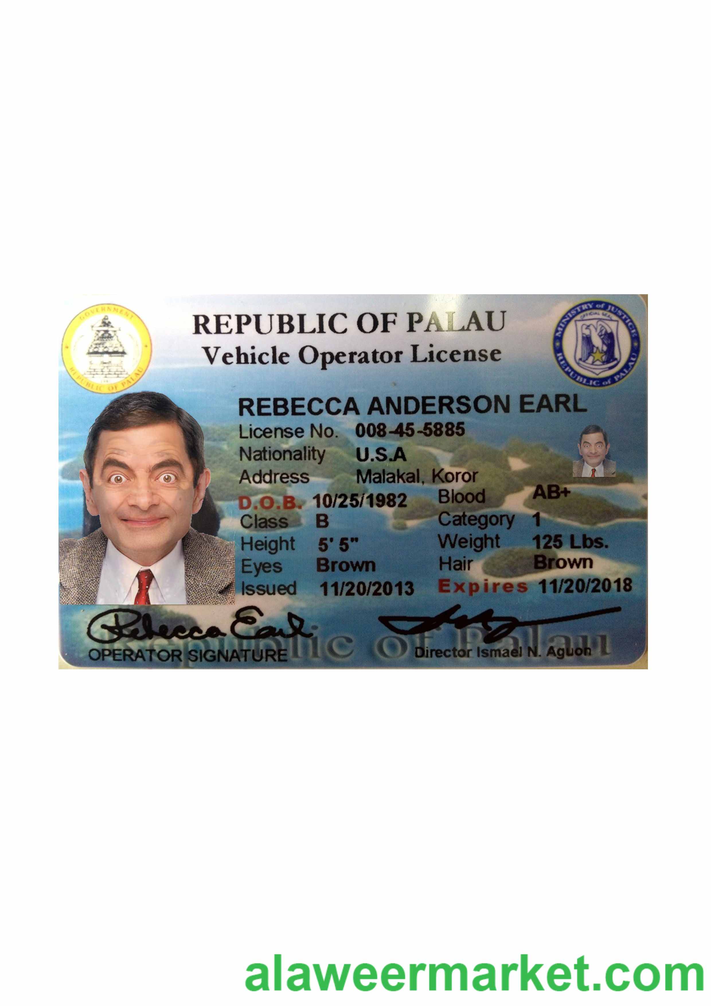 Palau driving license front side